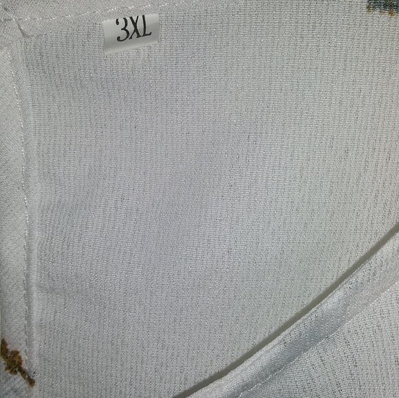 Women's plus size sheer tops - Picture 2 of 6